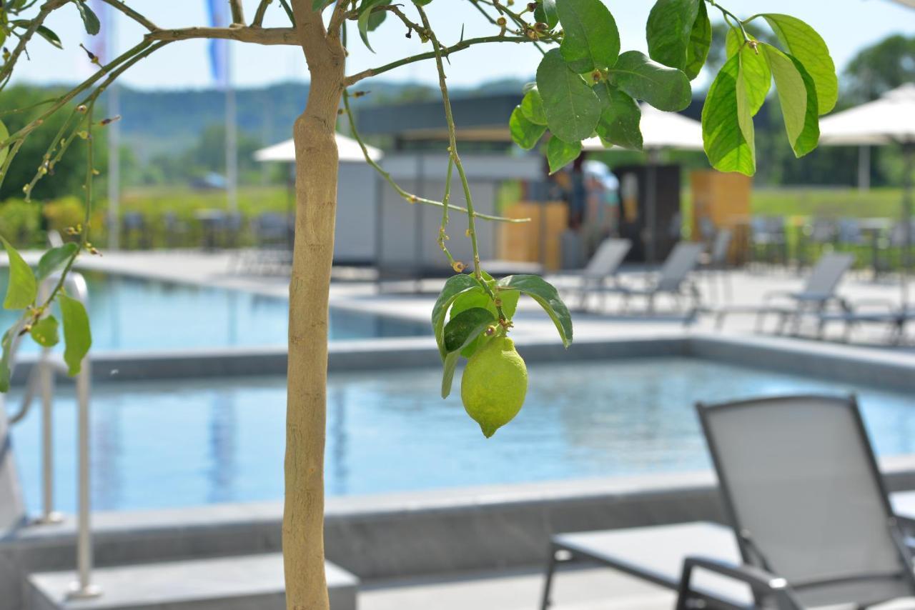 地拉那mk酒店 Rinas 外观 照片 The swimming pool